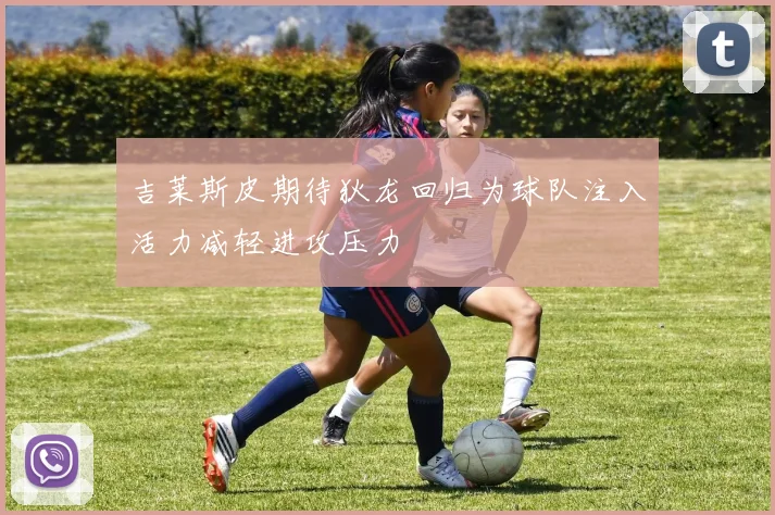 吉莱斯皮期待狄龙回归为球队注入活力减轻进攻压力