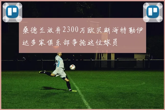 桑德兰放弃2300万欧买断海特勒伊达多家俱乐部争抢这位球员